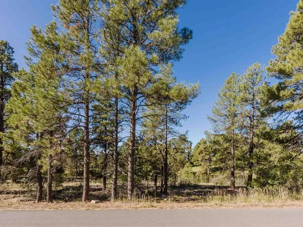 79 E Golf Place, Pagosa Springs, CO 81147