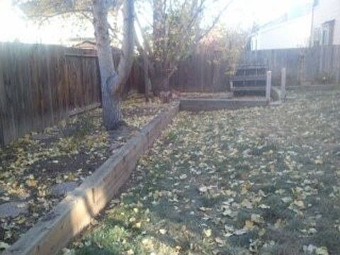 Fenced Back Yard
