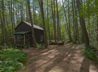 3071 Seelman Truck Trail Rd, Constableville, NY 13325