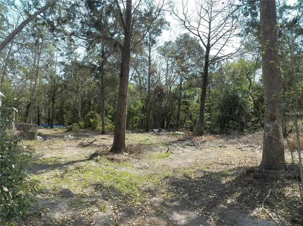 15730 GIFFORD LANE, SPRING HILL, FL 34610