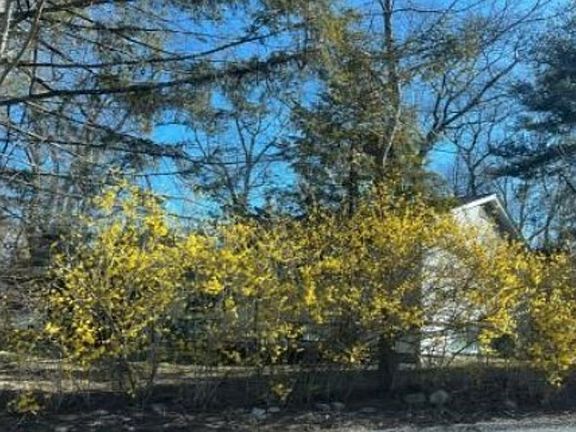 Property Side View