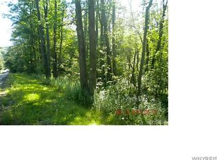 0 Bill Allen Hill Rd, Wellsville, NY 14895