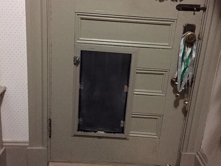Dog door from pantry to fenced back yard