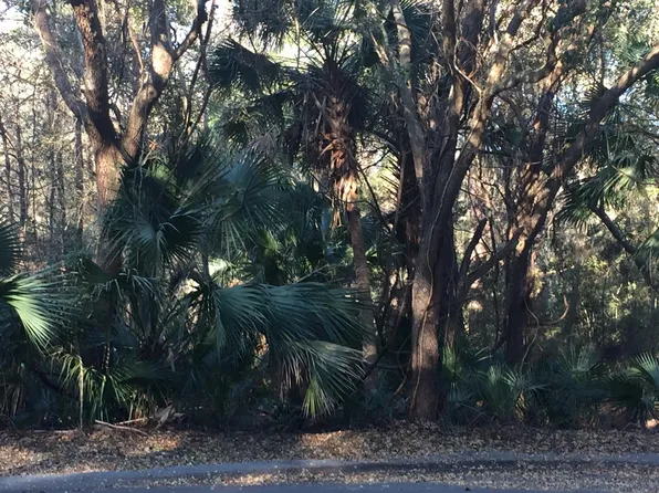 2832 Partridge Walk, Johns Island, SC 29455