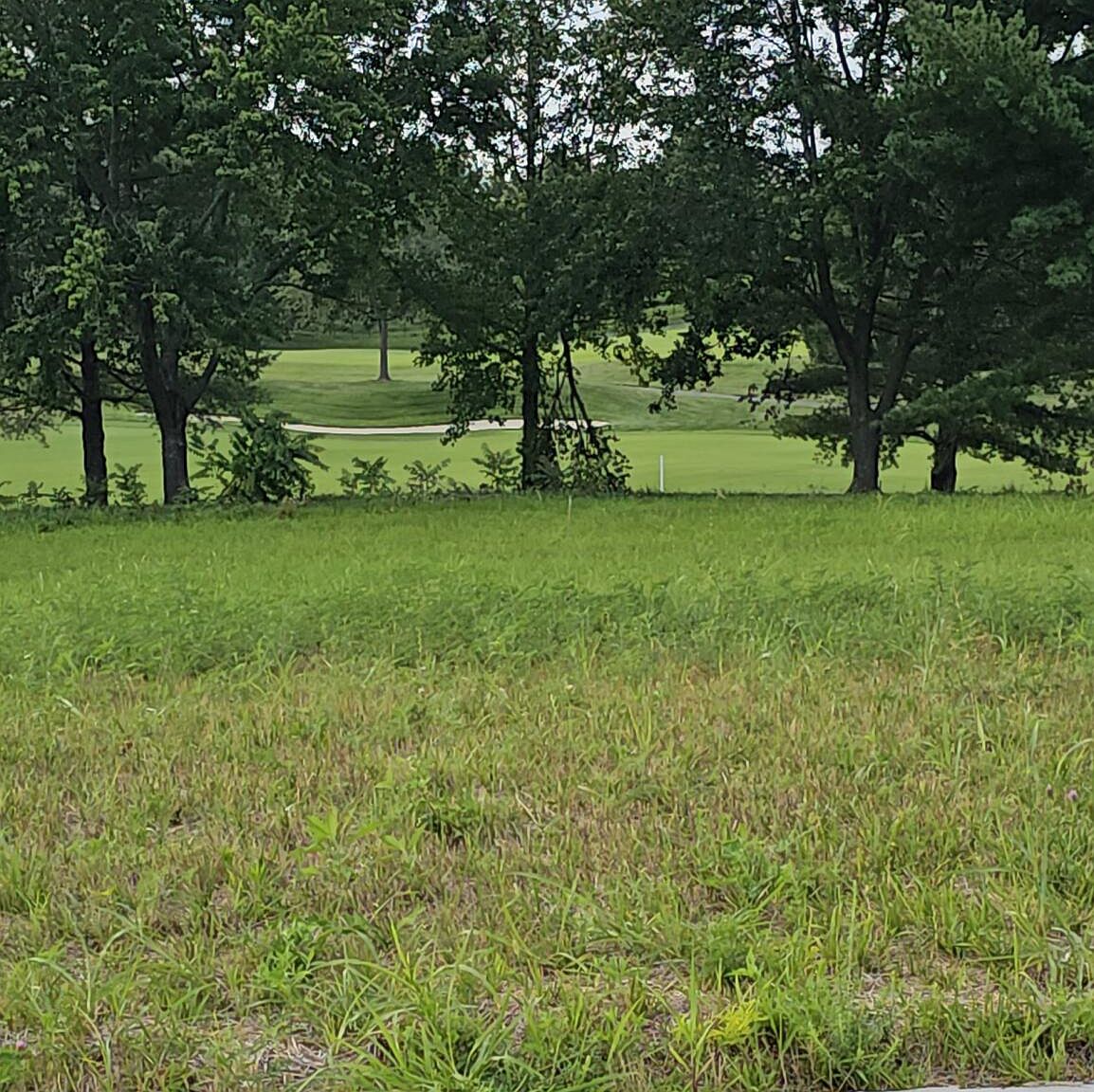 Lot.17 Highland Spring/Vintage Pointe