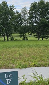 Lot.17 Highland Spring/Vintage Pointe, Springfield, MO, 65809