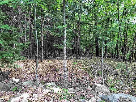 5th image of 44 Moccasin Rock Dr