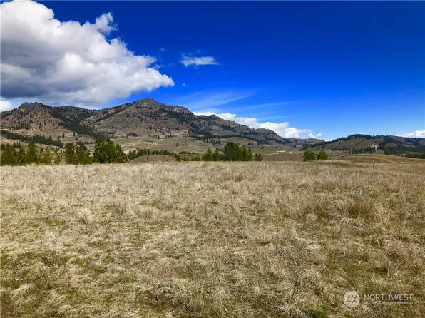 1 TBD Mt Elizabeth View Lane, Republic, WA 99166