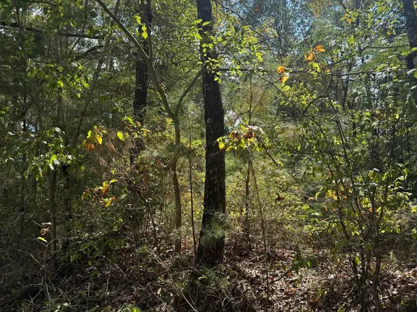46 County Road 264, Wedowee, AL 36278