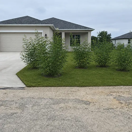 1021 Alcalde St E Photo 1