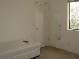 one of the room that faces the enormous tress outside.