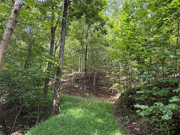 5th image of 0 Fuller Mountain Rd #7