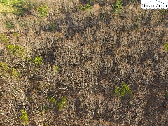 4th image of TBD Lot 2 All Healing Springs Road