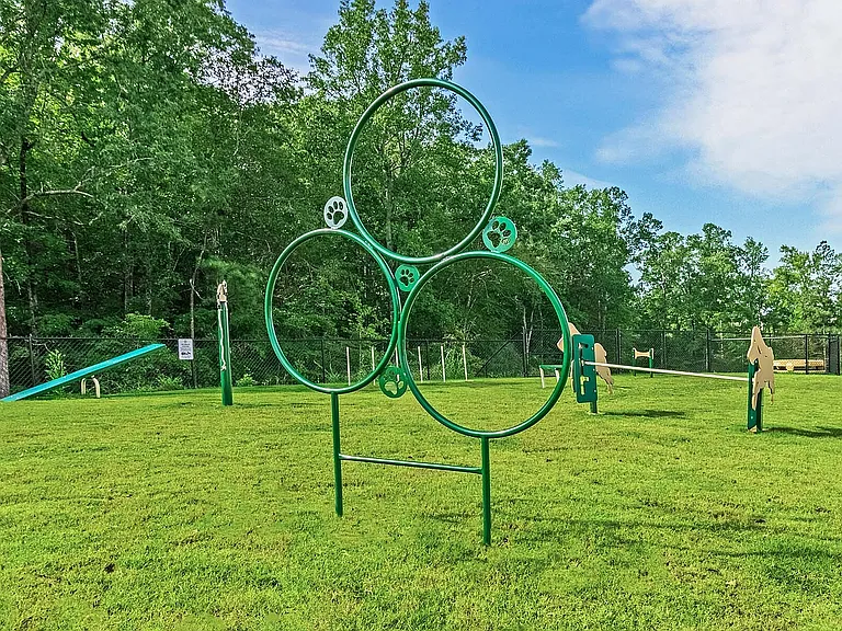 Pet Bark Park with Agility Equipment