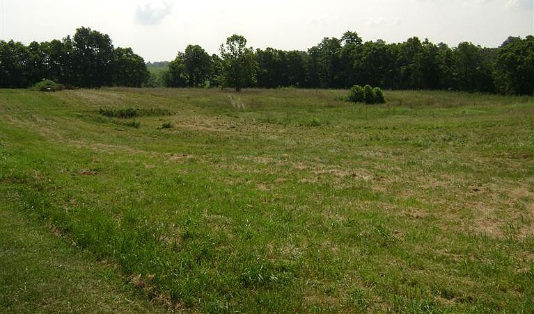 2nd image of 999 Crystal Spg Lot 9