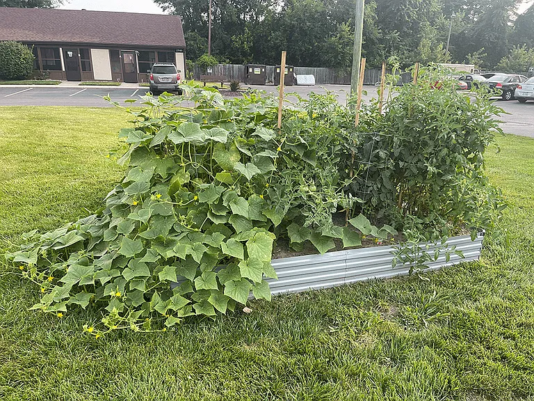 Community Garden