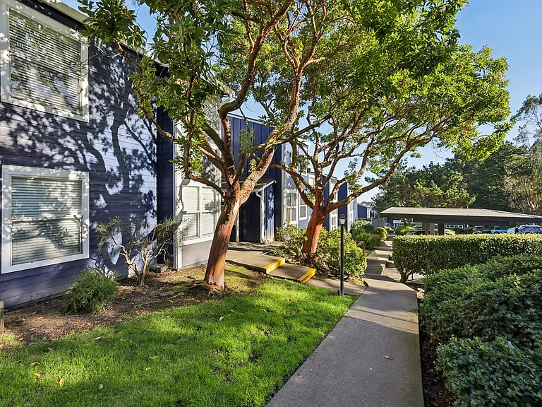 Skyline Heights Apartments — Photo 33