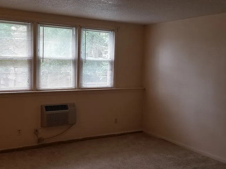 325 Mansfield St #A1 — Photo 11