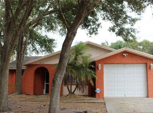 3114 Sandspur Dr, Tampa, FL 33618