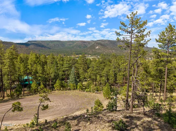 0 County Road 2193, Alpine, AZ 85920