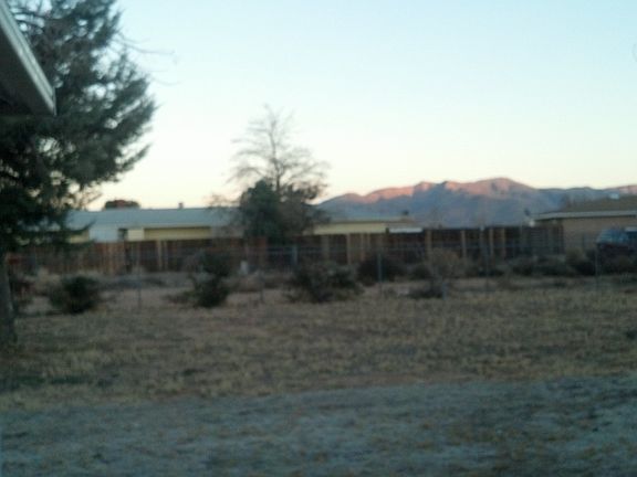 View from the Backyard