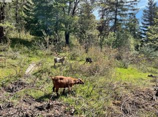 145 Holmes Creek Rd, Camas Valley, OR 97416