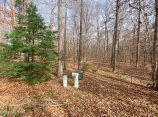 15 & 16 Evergreen Dr, Oneida, TN 37841