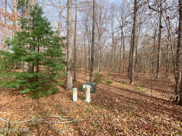 15 & 16 Evergreen Dr, Oneida, TN 37841