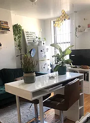 Rented by Jack B Shapiro