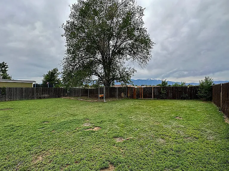 2020 Farnsworth Dr — Photo 11