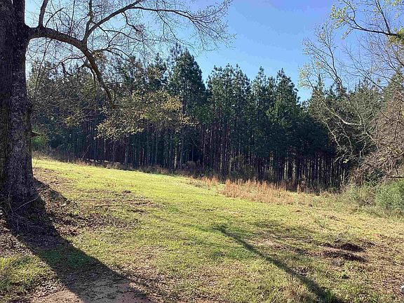 3rd image of 108 Carlisle Rd