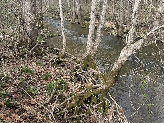 5th image of 1234 Puncheon Creek Rd