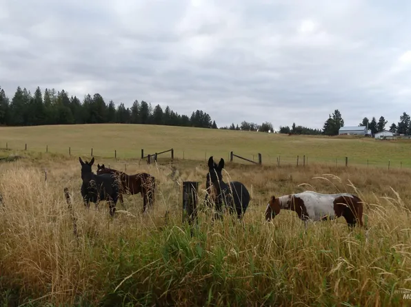 1385 Cottonwood Butte Rd, Cottonwood, ID 83522