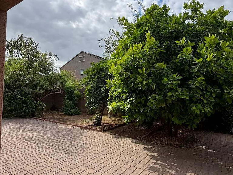 4723 W Gelding Dr — Photo 16