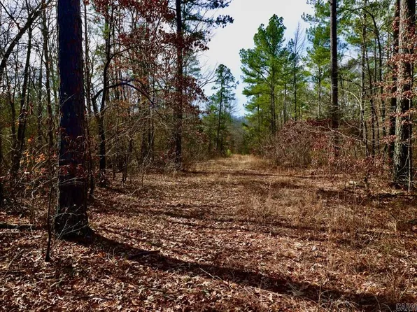 Old River Rd, Pangburn, AR 72121