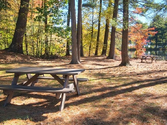 Picnic Areas by the pond