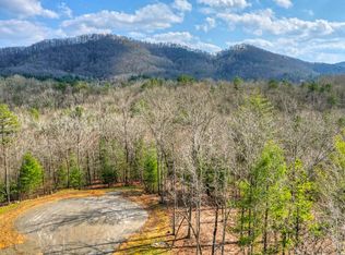 LOT 13 Ridge Rd, Mineral Bluff, GA 30559
