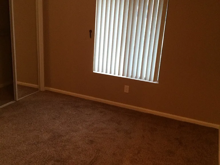 20 — Photo 115