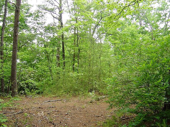 5th image of LOT 63 Justice Dr