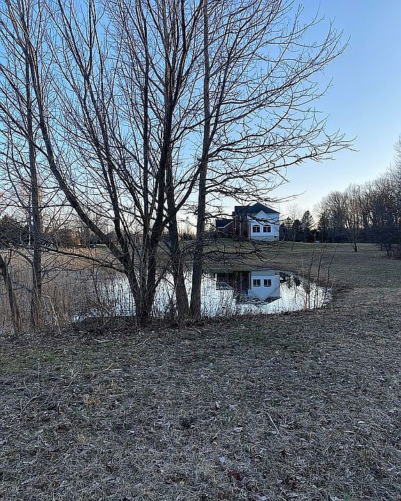 Pond View