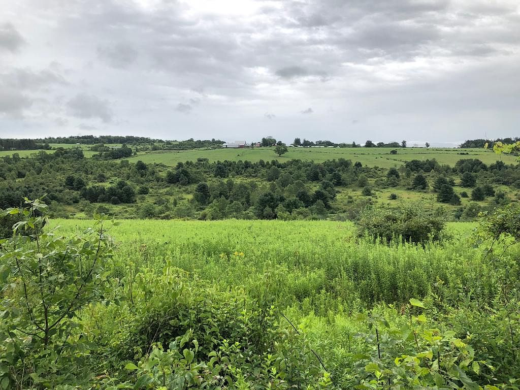 248 Ticknor Brook Rd, Whitney Pt, NY 13862 Zillow