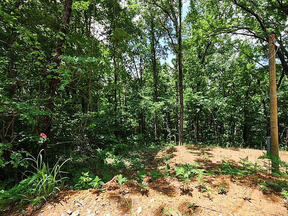 2nd image of 0 Blowing Cave Rd Lot 9-11A