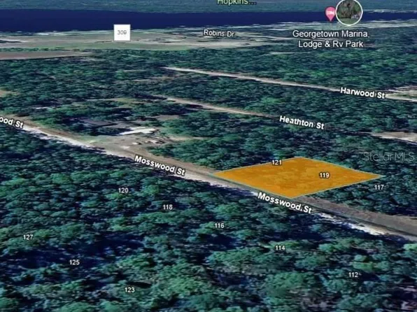 119 Mosswood St #150, Georgetown, FL 32139