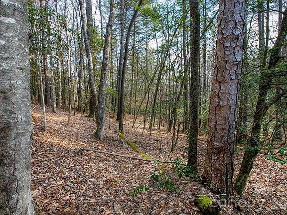 5th image of 13 Deerlake Rd