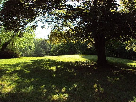 Side Lawn