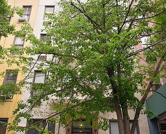 5th image of 411 E 85th St APT 1B
