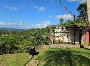Bo Guaraguao Sector Sanchez Mulero Lote #1, Bayamon, PR 00956