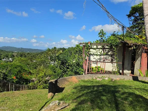 Bo Guaraguao Sector Sanchez Mulero Lote #1, Bayamon, PR 00956