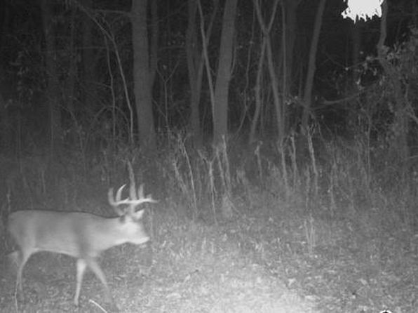 Williams Rd, Dearborn, MO 64439