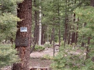 8 Back Basin Rd, Angel Fire, NM 87710